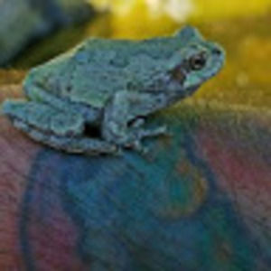 Meet your Posher, Dana